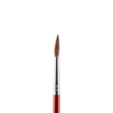 Picture of JUNIOR PAINTBRUSH ROUND